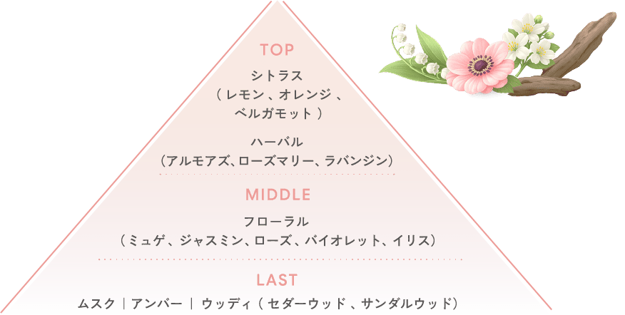 TOP シトラス( レモン 、オレンジ 、ベルガモット )ハーバル (アルモアズ、ローズマリー、ラバンジン) MIDDLE フローラル ( ミュゲ 、ジャスミン 、 ローズ 、バイオレット、イリス) LAST ムスク |アンバー | ウッディ ( セダーウッド 、 サンダルウッド)