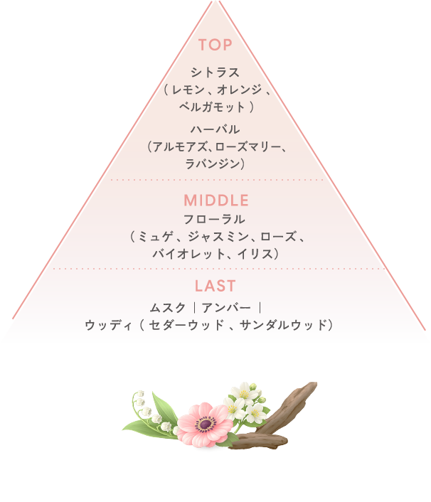 TOP シトラス( レモン 、オレンジ 、ベルガモット )ハーバル (アルモアズ、ローズマリー、ラバンジン) MIDDLE フローラル ( ミュゲ 、ジャスミン 、 ローズ 、バイオレット、イリス) LAST ムスク |アンバー | ウッディ ( セダーウッド 、 サンダルウッド)