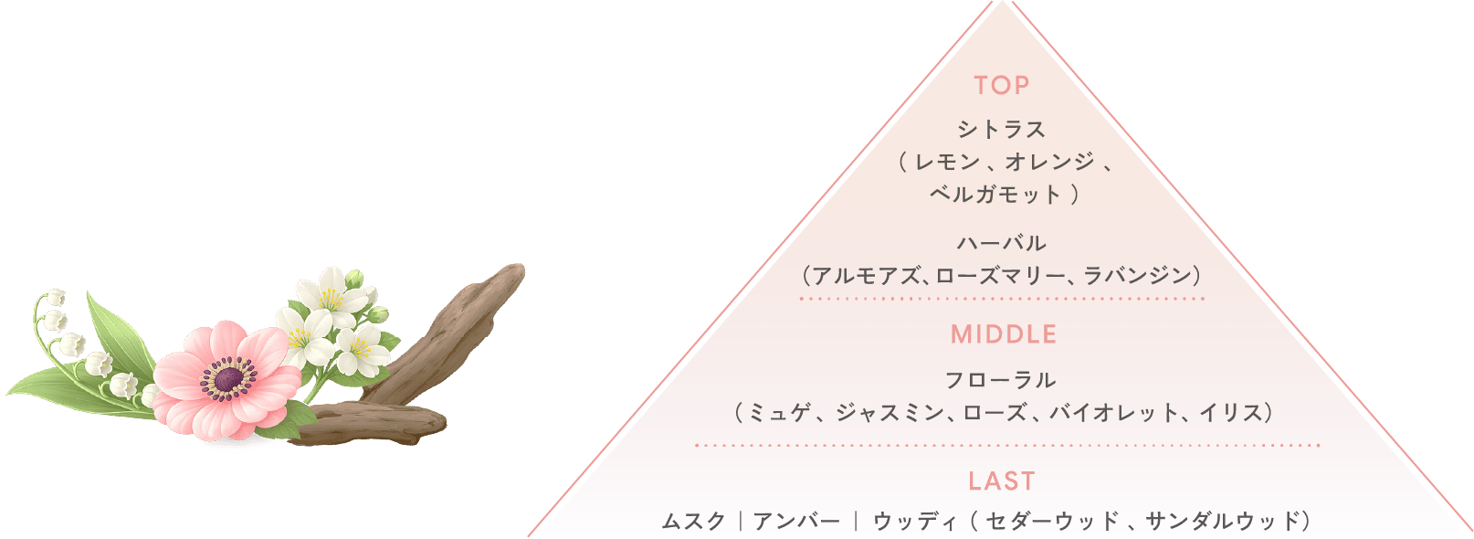 TOP シトラス( レモン 、オレンジ 、ベルガモット )ハーバル (アルモアズ、ローズマリー、ラバンジン) MIDDLE フローラル ( ミュゲ 、ジャスミン 、 ローズ 、バイオレット、イリス) LAST ムスク |アンバー | ウッディ ( セダーウッド 、 サンダルウッド)