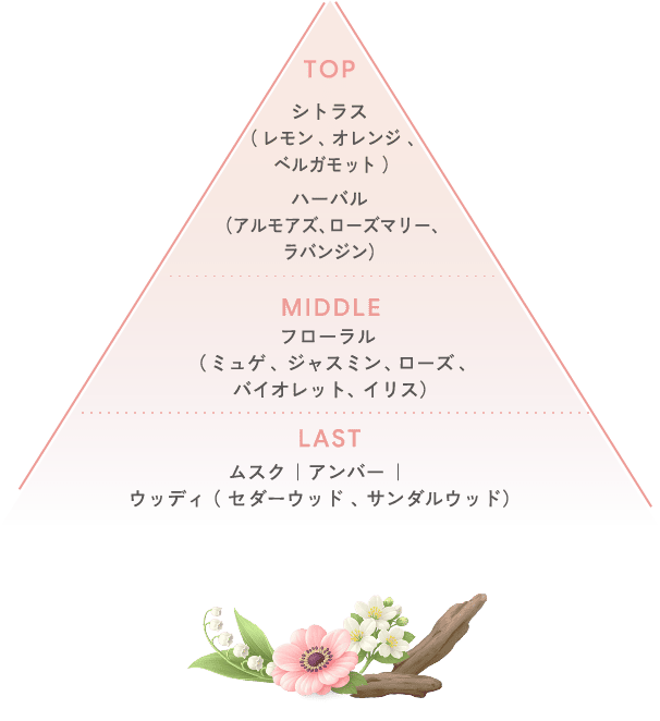 TOP シトラス( レモン 、オレンジ 、ベルガモット )ハーバル (アルモアズ、ローズマリー、ラバンジン) MIDDLE フローラル ( ミュゲ 、ジャスミン 、 ローズ 、バイオレット、イリス) LAST ムスク |アンバー | ウッディ ( セダーウッド 、 サンダルウッド)